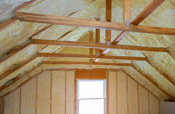 Best Insulation Inspection Services  in Cobb Island, MD