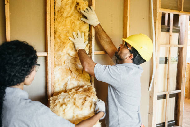Soundproof Insulation Installation in Cobb Island, MD